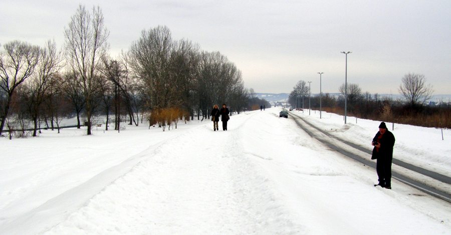 Zale�ena Sava 2012